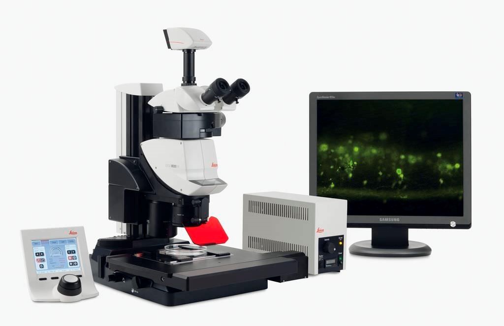 Stereomicroscopio M205FA, Leica 