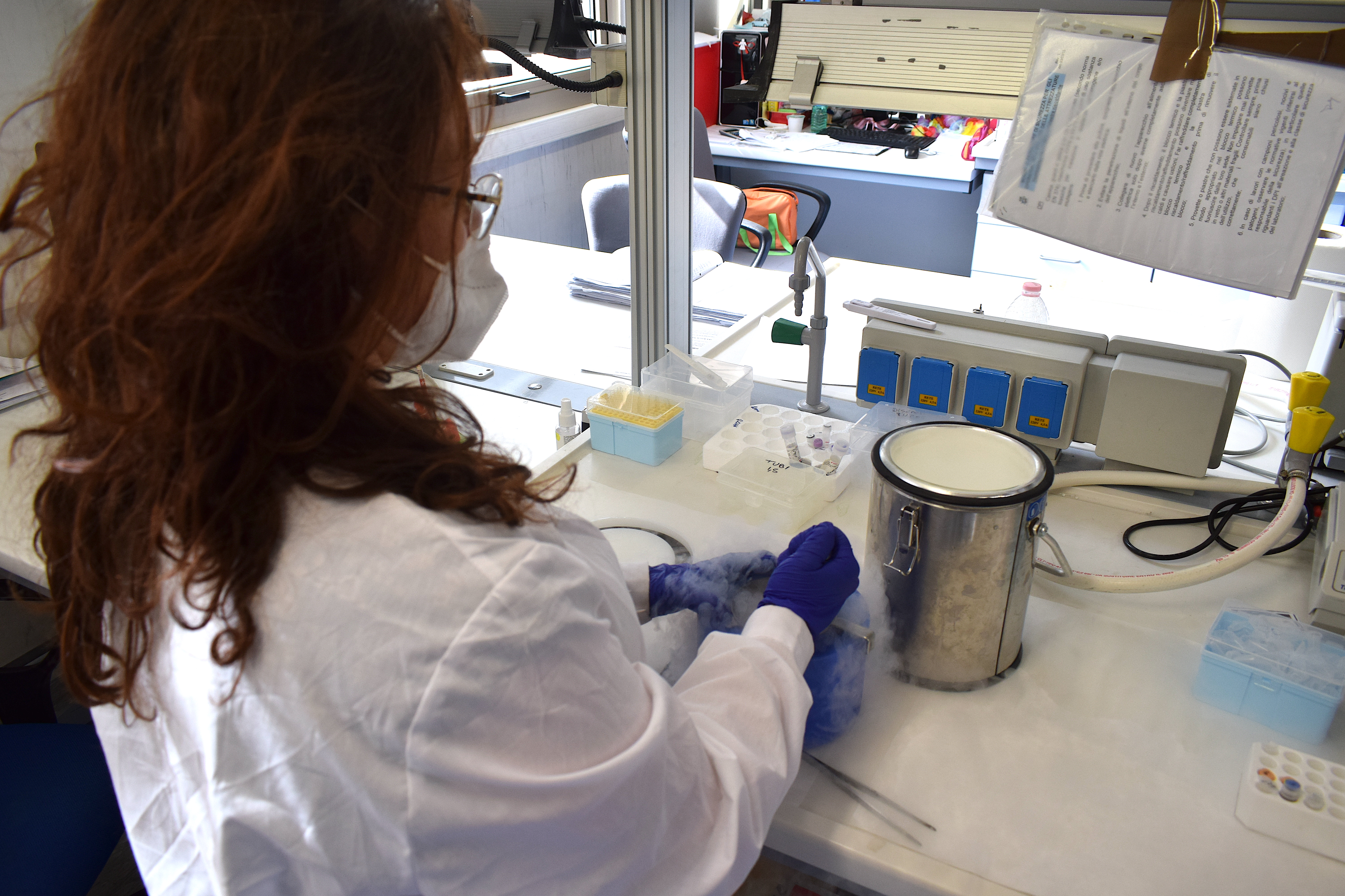 extraction of DNA from brain tissue with liquid nitrogen