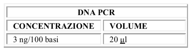 DNA Lab