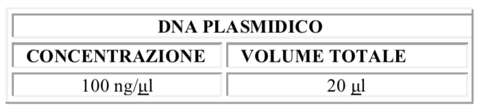 DNA Lab